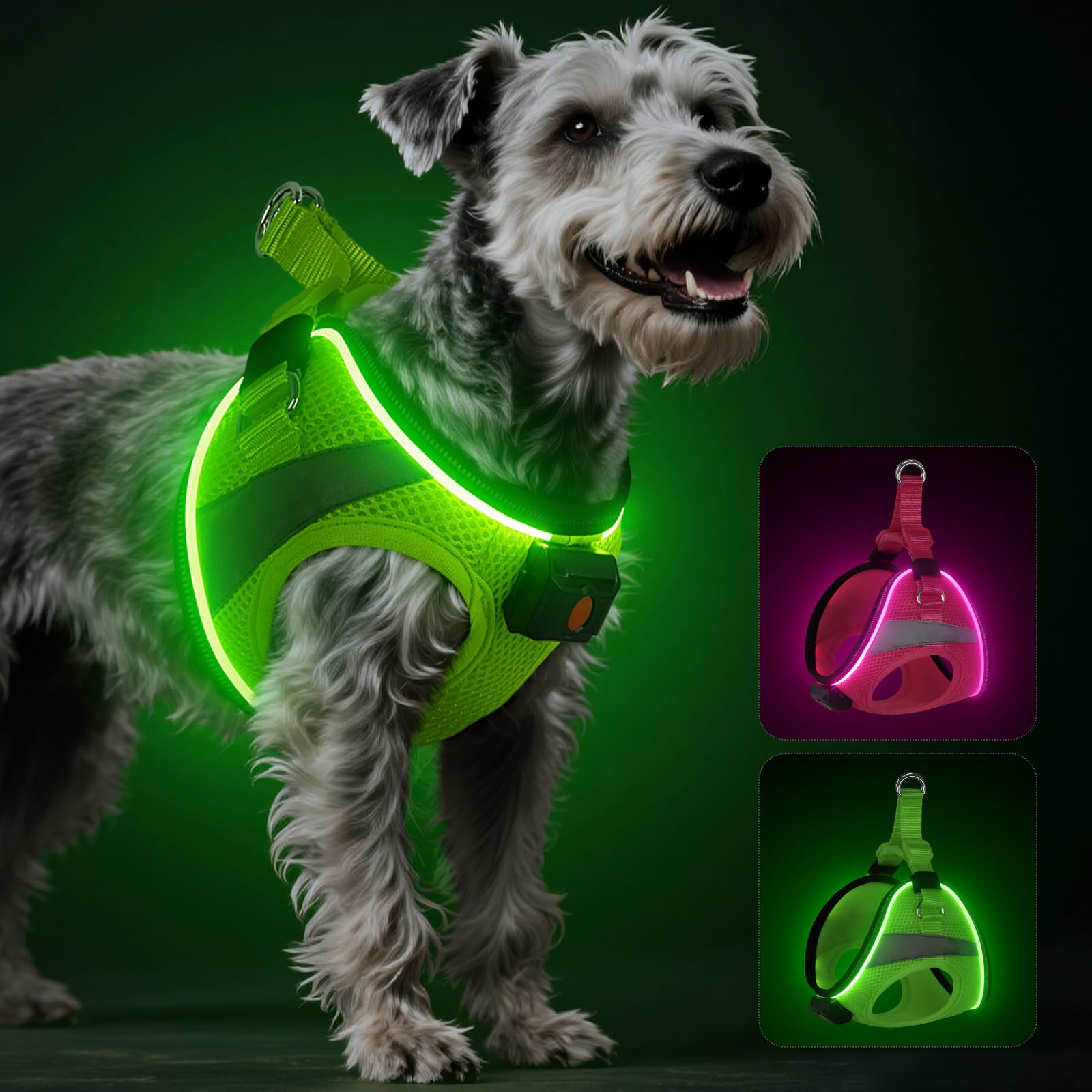 BiPawTi light-up harness front view enhances night visibility for dogs.