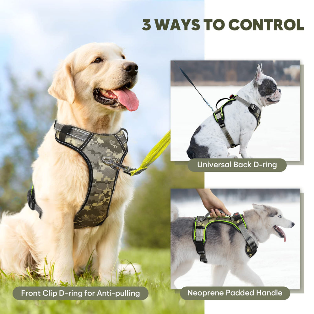 BiPawTi glow harness ideal for night walks and camping.