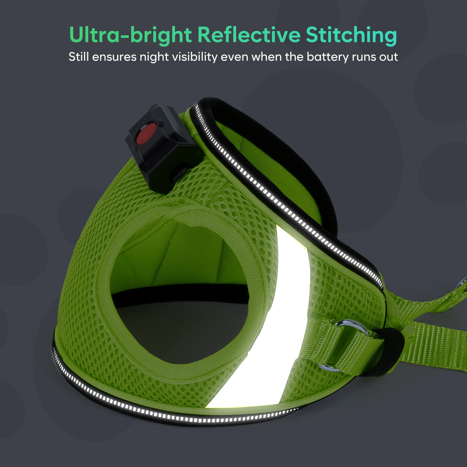 BiPawTi harness night-walk glow aids safe evening strolls.