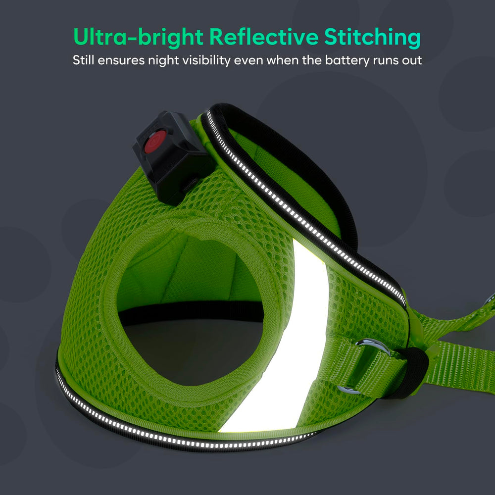 BiPawTi harness night-walk glow aids safe evening strolls.