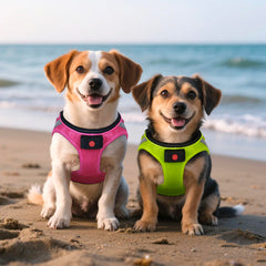 BiPawTi harness reflective strips catch car headlights for safety.