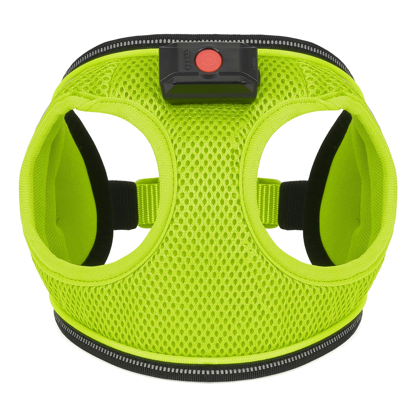 BiPawTi XS-size harness fits tiny dogs and grows with them.