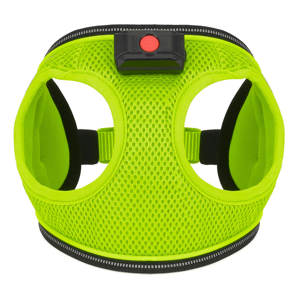 BiPawTi XS-size harness fits tiny dogs and grows with them.