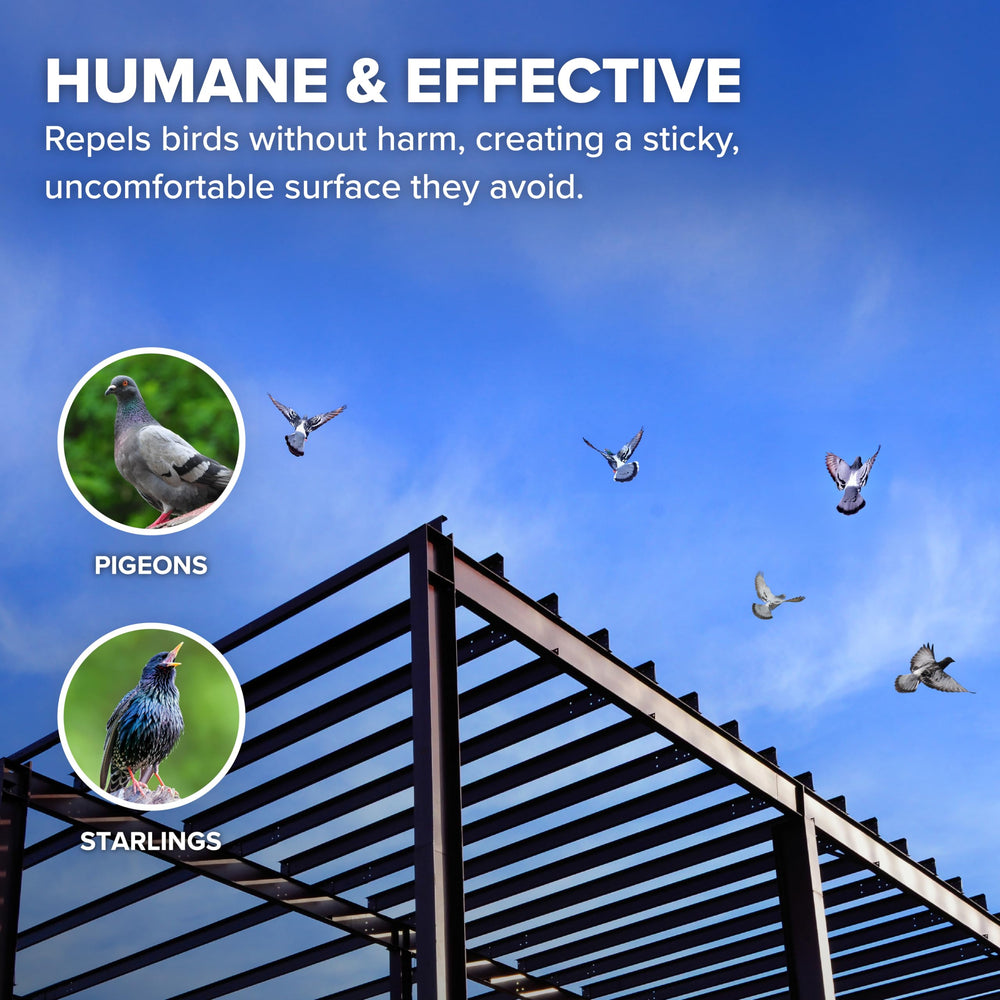 Bird B Gone humane deterrent supports non-harmful bird control for properties.