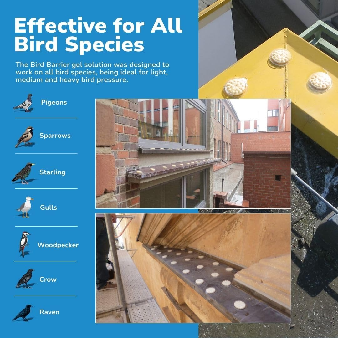Bird Barrier Optical Gel on balcony rail illustrates surface-friendly deterrence.