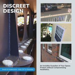 Bird Barrier Optical Gel on roof edge demonstrates discreet placement for ledges and beams.