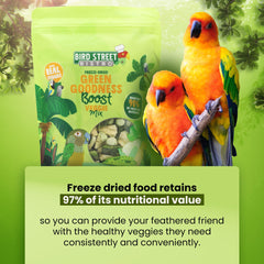 Bird Street Bistro parrot food grain mix provides energy during play.
