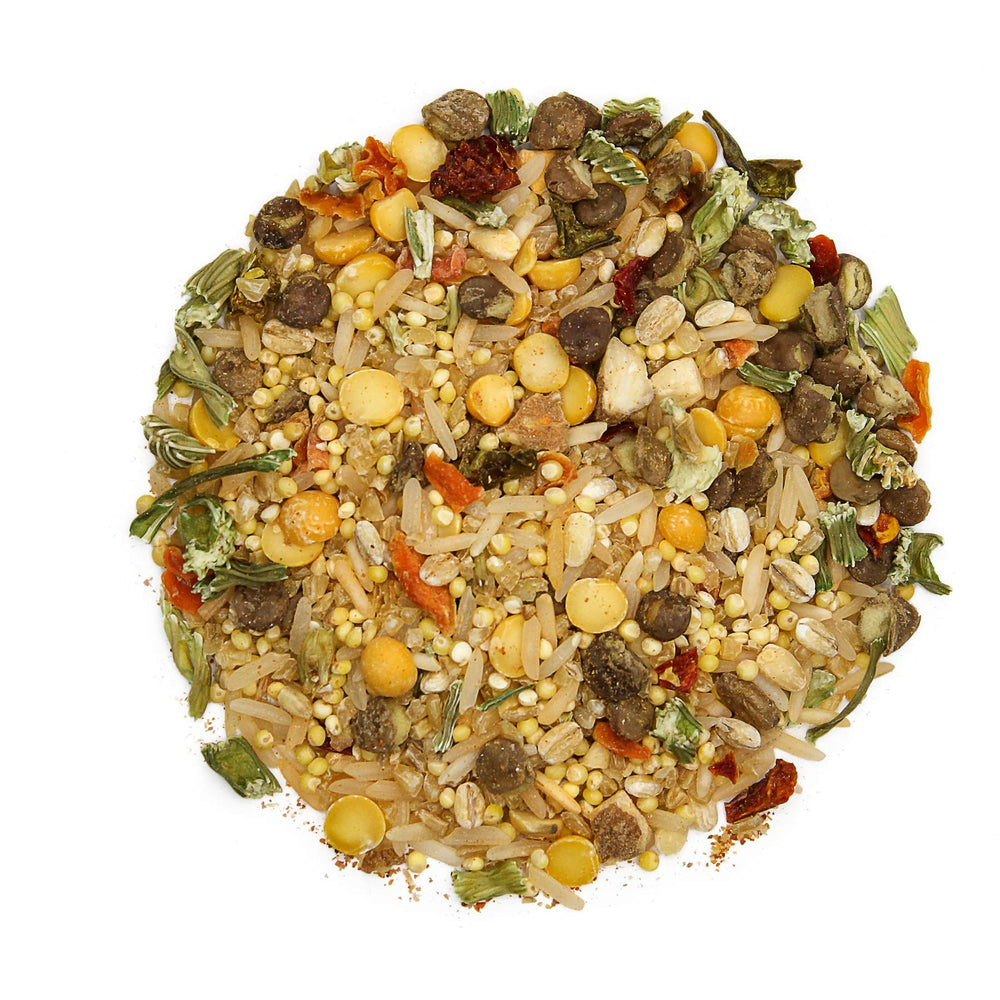 Bird Street Bistro USA-made packaging—fresh parrot food you can trust.