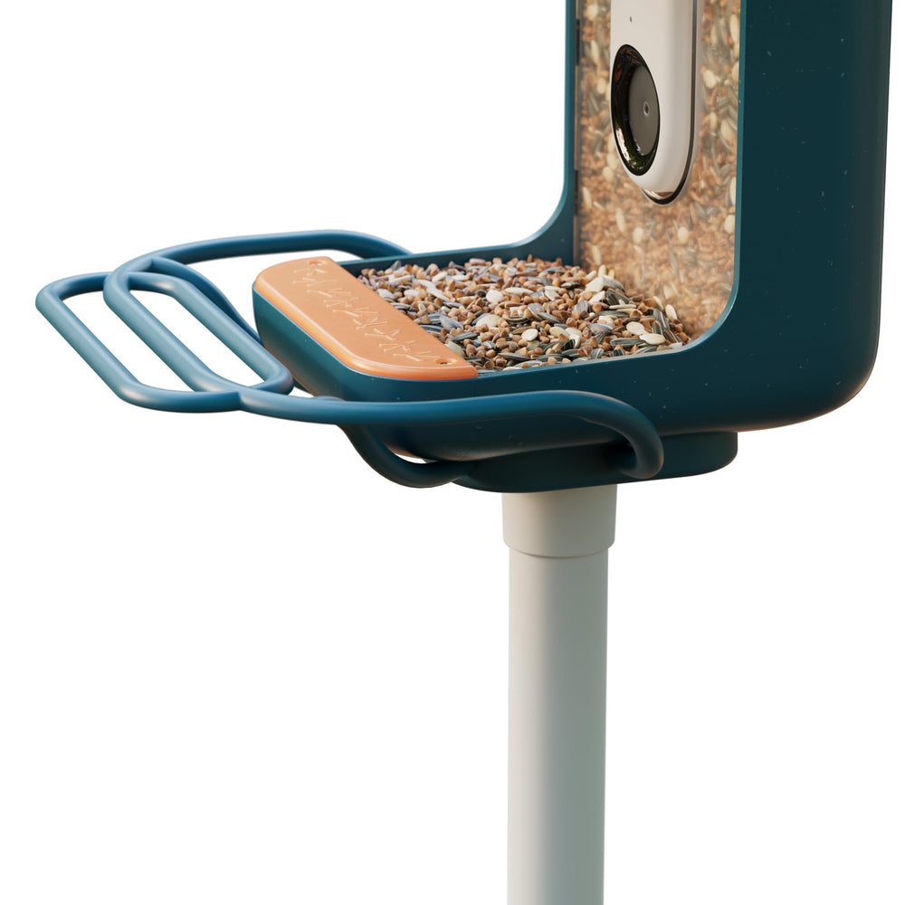 Bird Buddy blue perch extender showing compatibility with pole mounts and housing