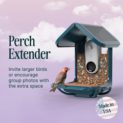 Bird Buddy blue perch extender installed for easier multi-bird perching