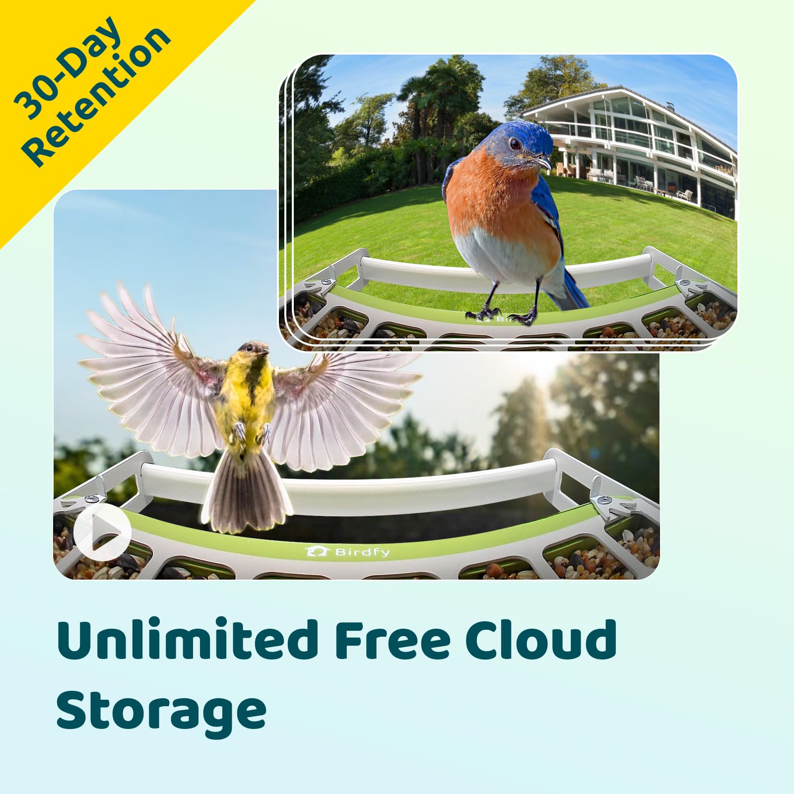 Birdfy app delivers stable connection and simple setup for all users.