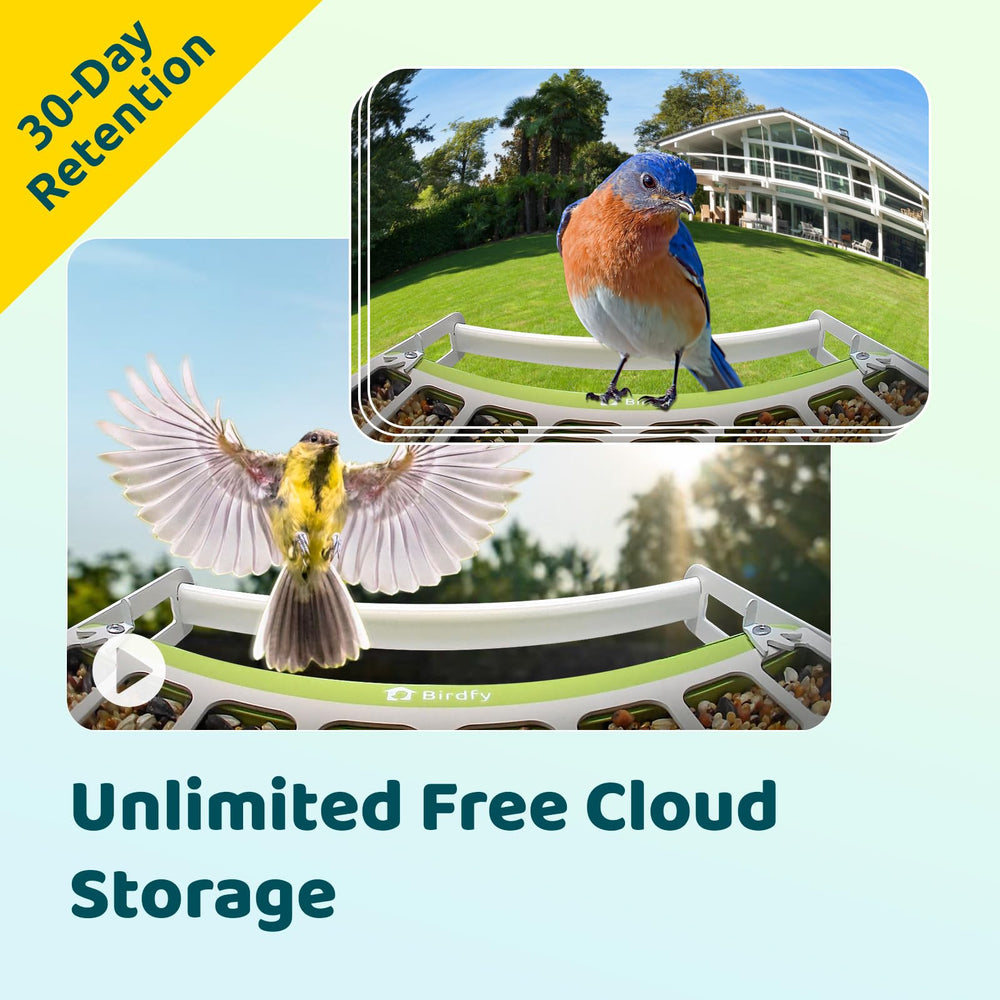 Birdfy app delivers stable connection and simple setup for all users.