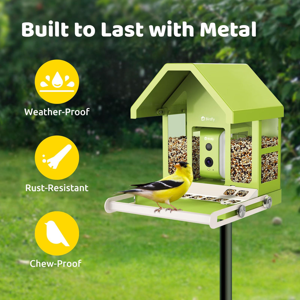 Birdfy smart bird feeder camera green finish enhances curb appeal and warmth.