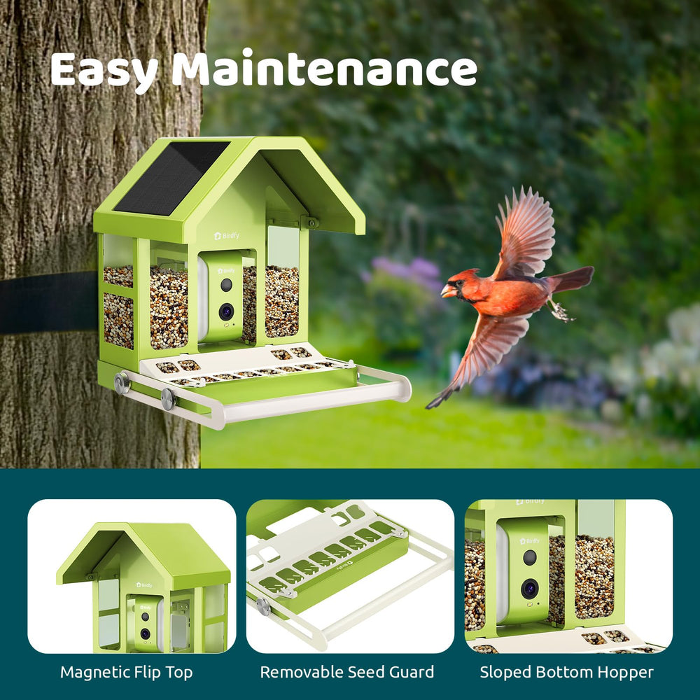 Birdfy solar-powered battery recharges in sun, enabling round-the-clock birdwatching.