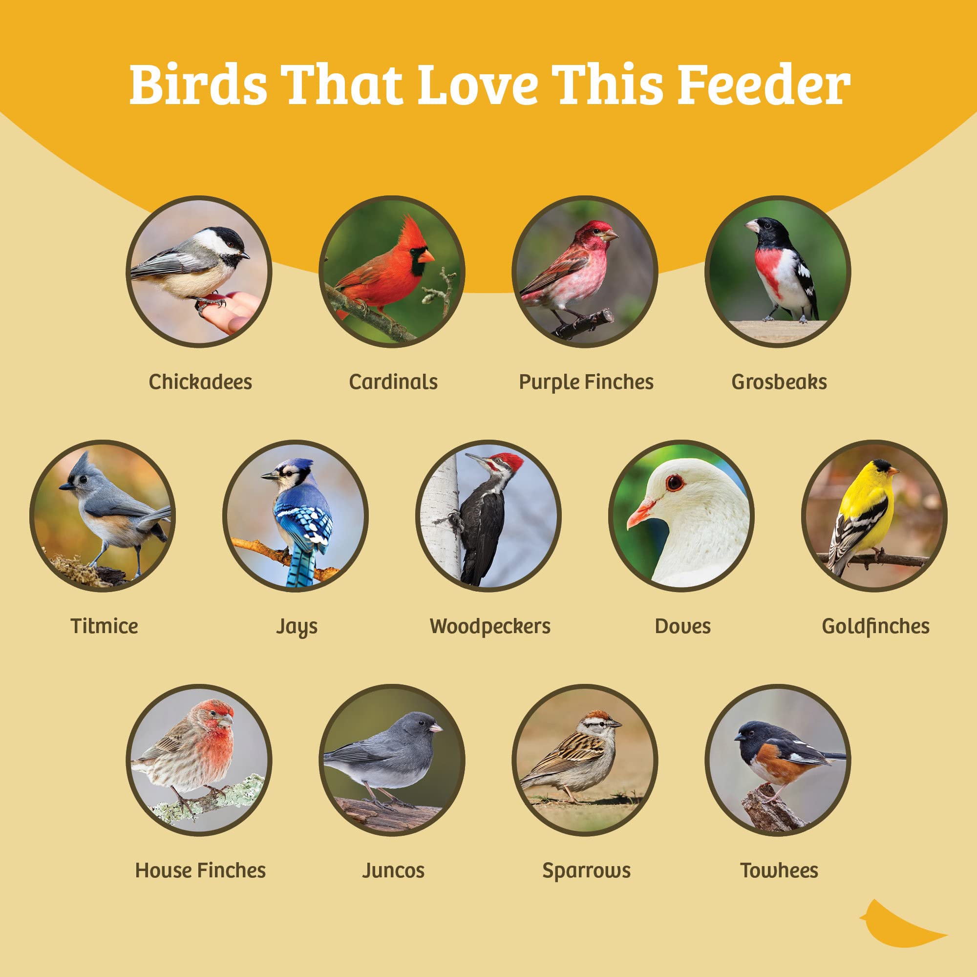 Birds Choice seed catcher open platform close-up cleaning highlights easy maintenance