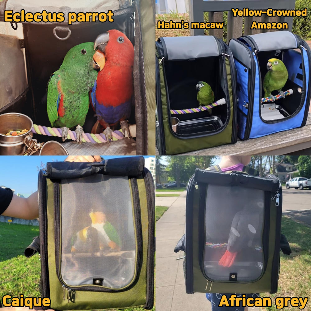 Birds Day feeding cup and rope perch illustrate on-the-go versatility