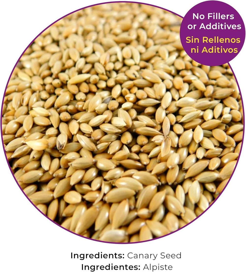 Birds LOVE Alpiste seed budgies focus highlights 5 lb bag value.