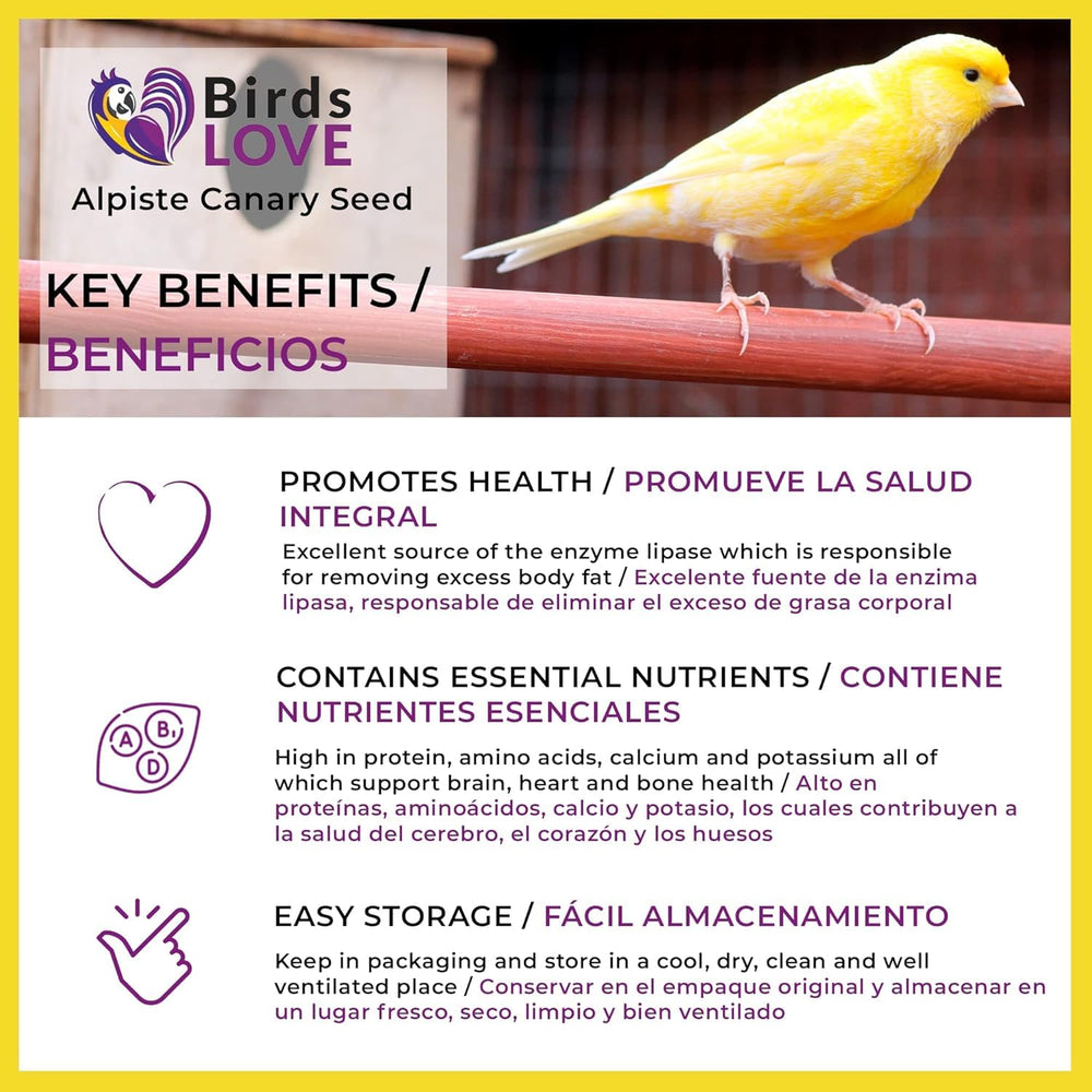 Birds LOVE Alpiste seed finches display shows versatile seed for many species.