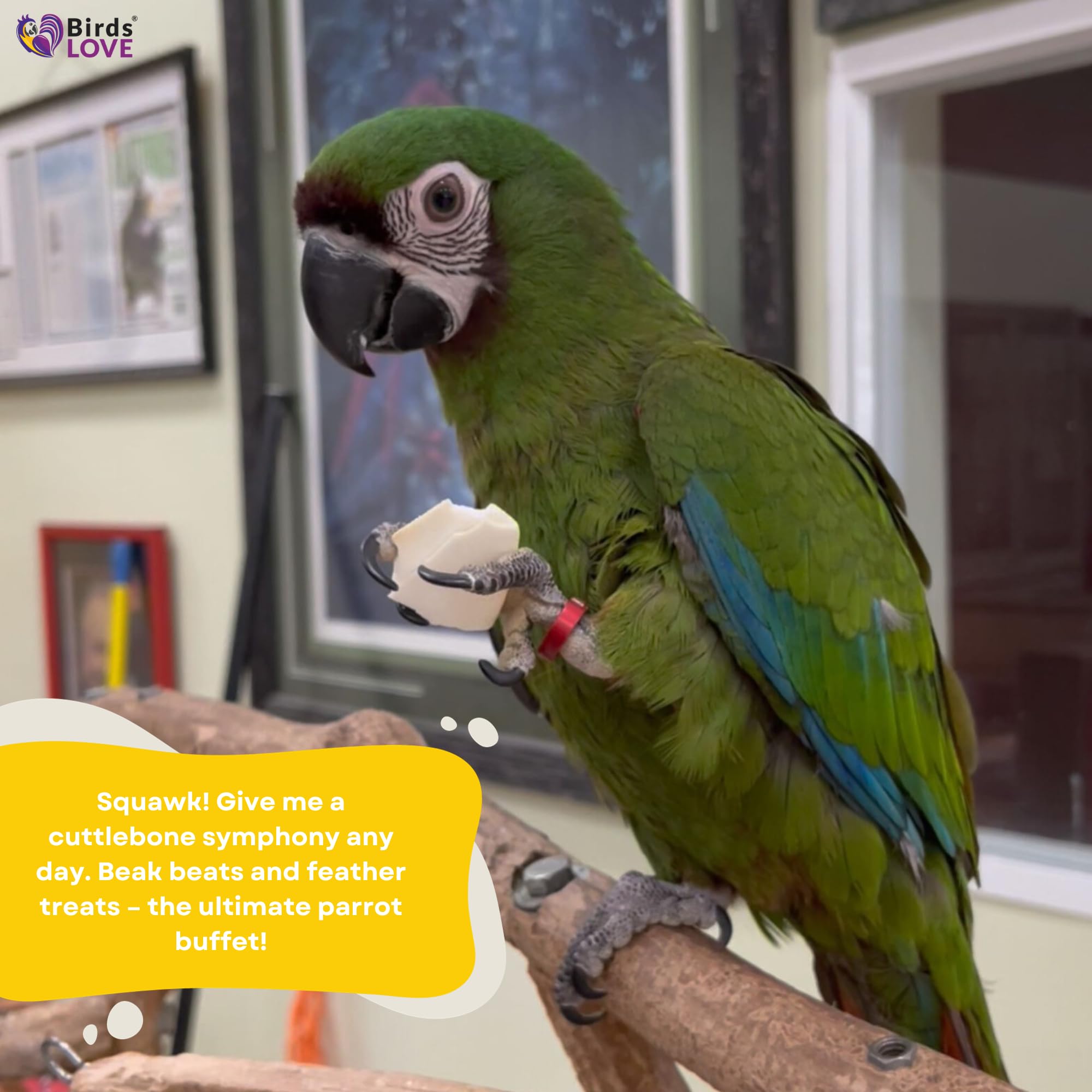 Birds LOVE chemical-free sun-dried formula for safe daily use