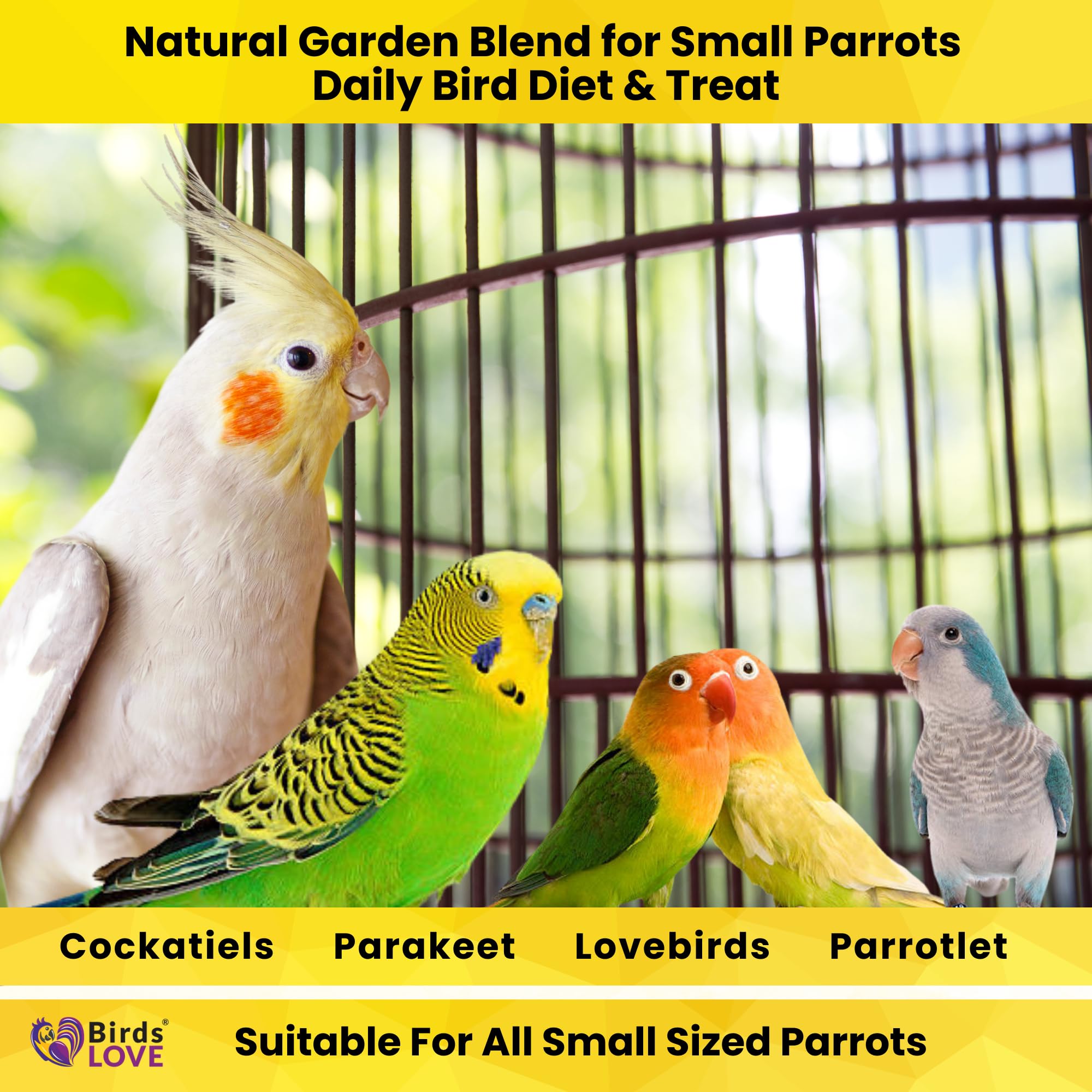 Birds LOVE Garden Blend bird-feeder-snack ready-to-serve for daily feeding.