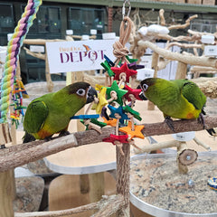 Birds LOVE leather knot squeak toy boosts curiosity
