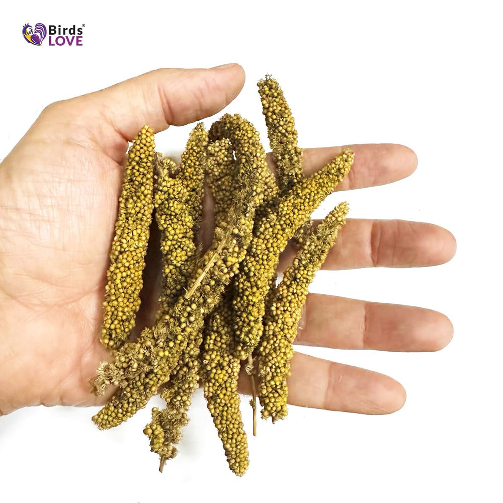 Birds LOVE Millet Tips & Tails foraging enrichment engages birds with natural foraging behavior