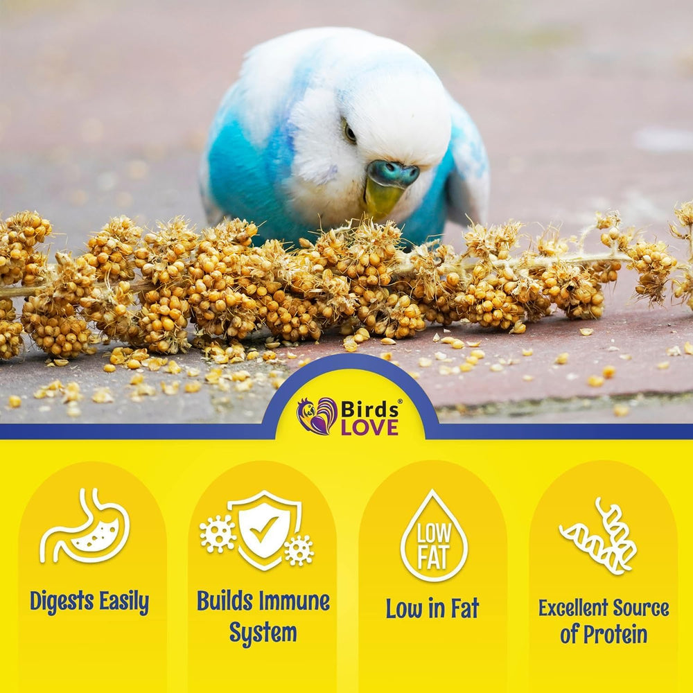 Birds LOVE Millet Tips & Tails can be sprouted for a fresh, nutrient-dense treat