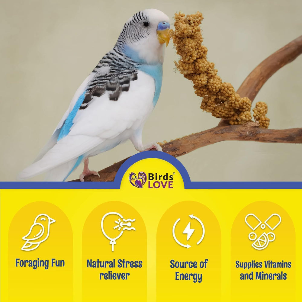 Birds LOVE Millet Tips & Tails provides vitamins and minerals for daily vitality