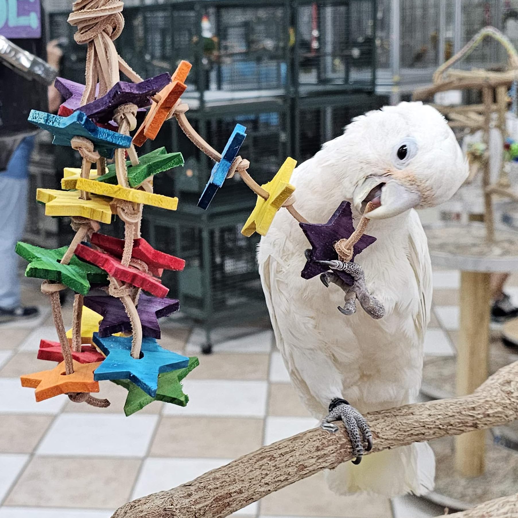 Birds LOVE parrot chew wood toy promotes beak care and foraging