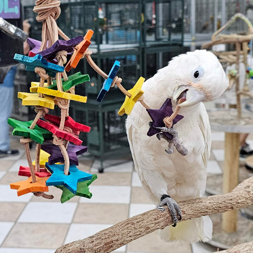 Birds LOVE parrot chew wood toy promotes beak care and foraging