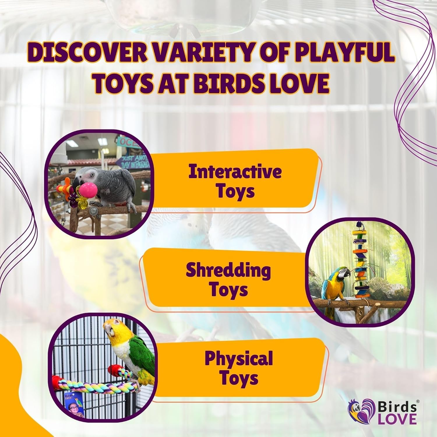 Birds LOVE playgym stand toy for perches and enrichment