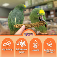 Birds LOVE spray millet birds enjoying the treat during bonding