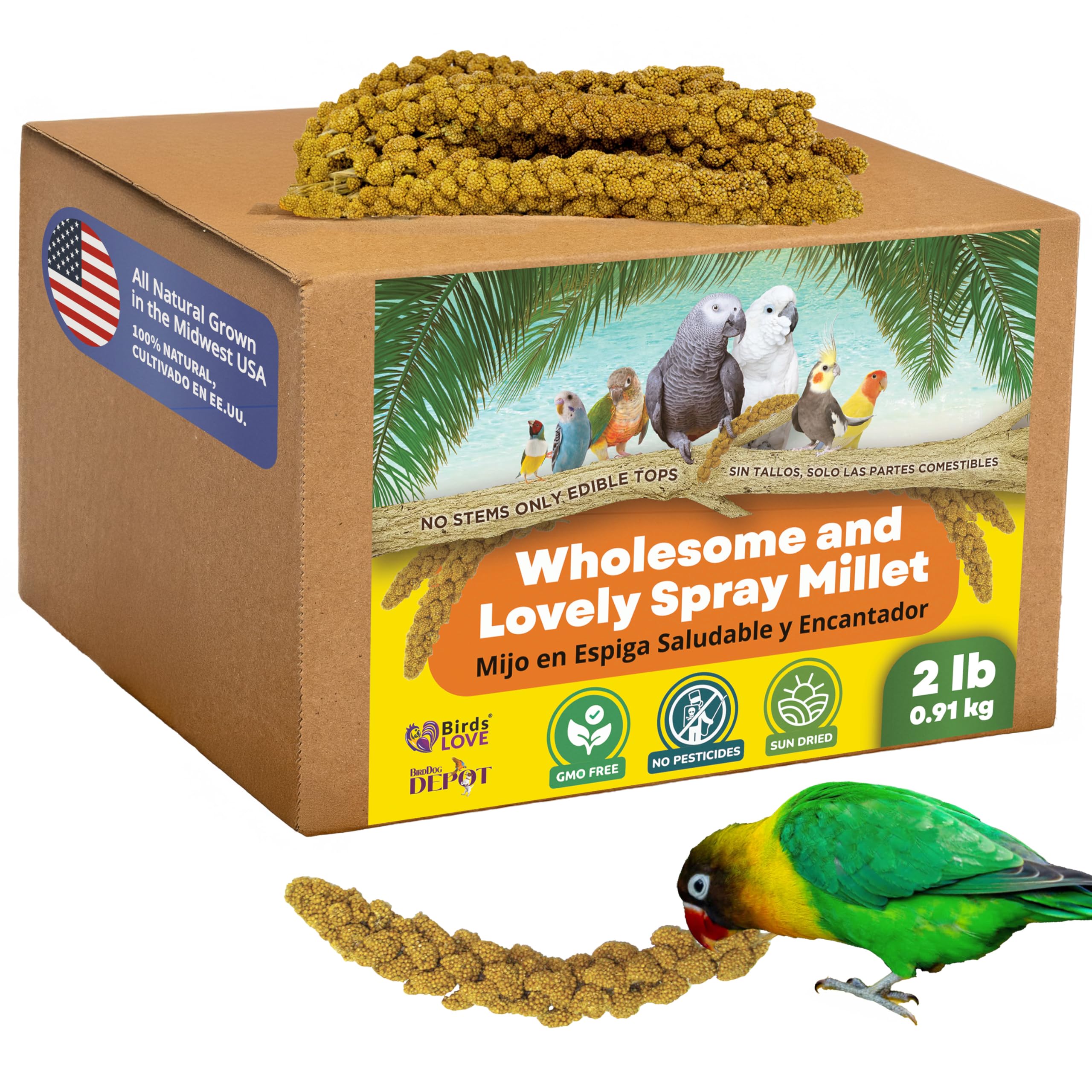 Birds LOVE spray millet closeup shows premium non-GMO grain for healthy treats