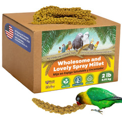Birds LOVE spray millet closeup shows premium non-GMO grain for healthy treats
