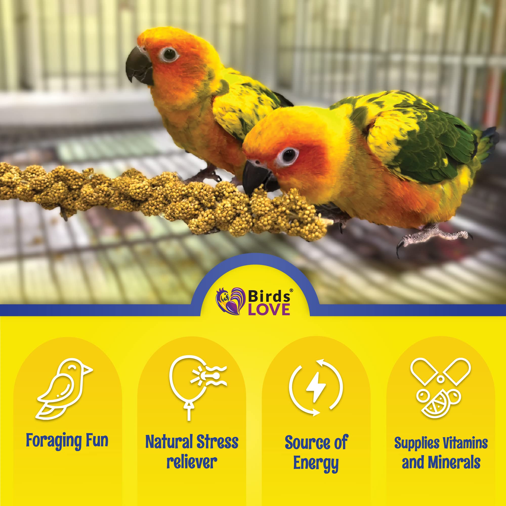 Birds LOVE spray millet easy-storage-bag demonstrates convenient freshness