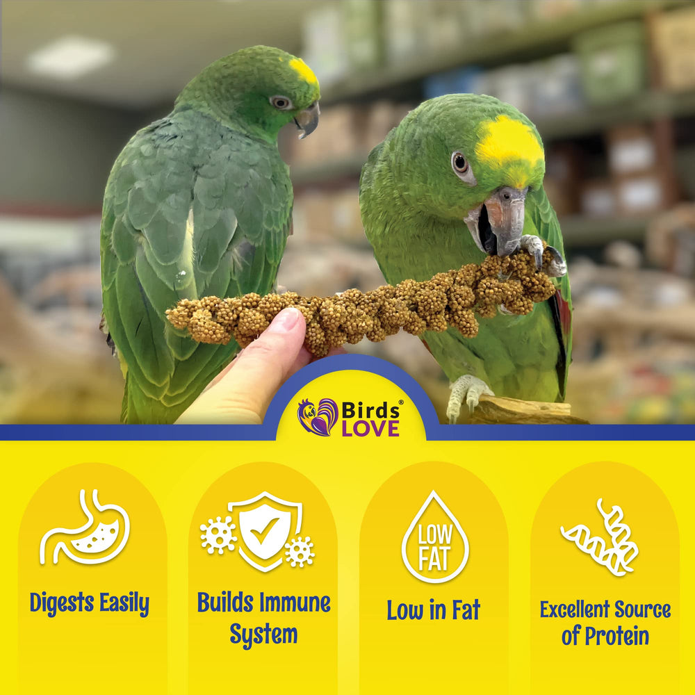 Birds LOVE spray millet edible-tops-only close-up shows crisp edible tops