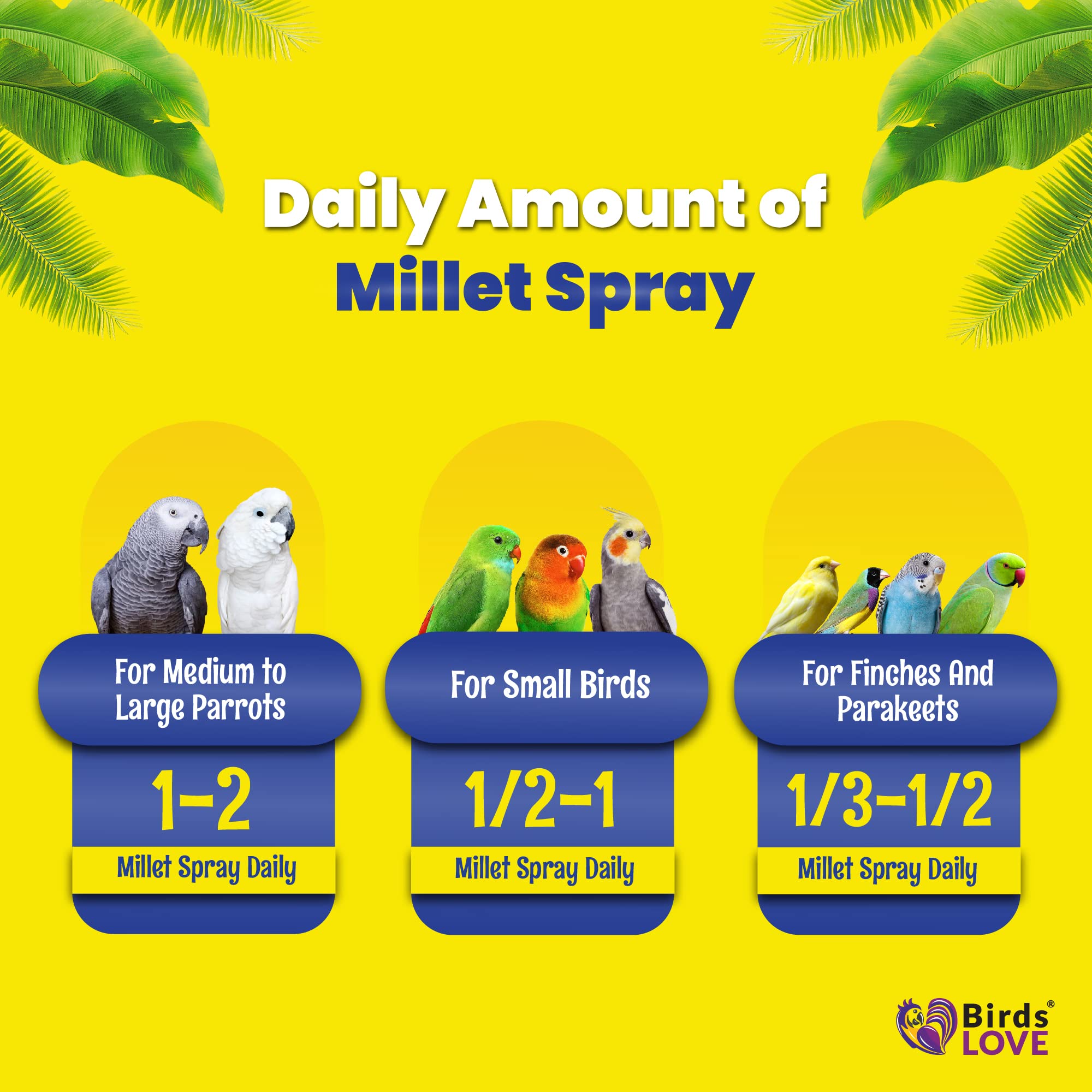Birds LOVE spray millet for-parakeets shows a favored training treat