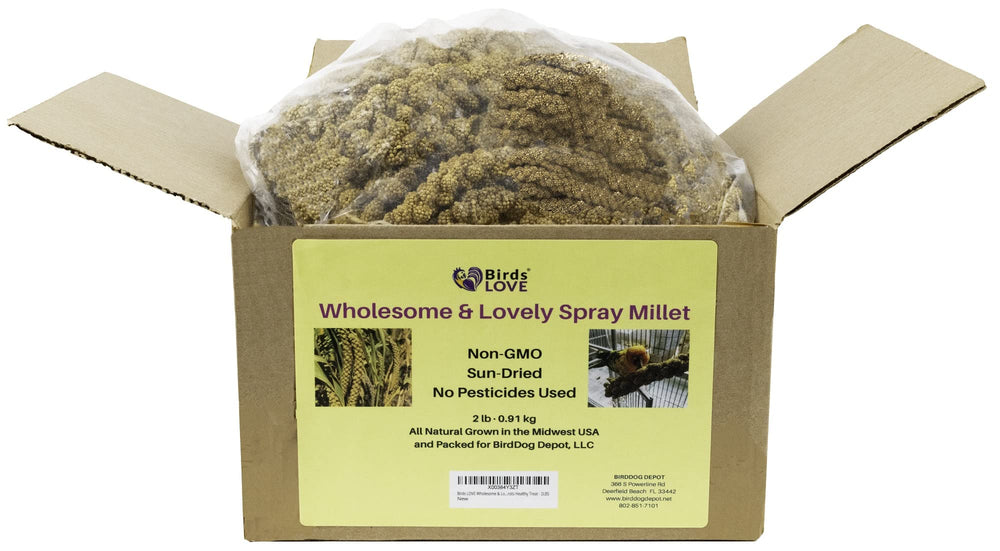Birds LOVE spray millet sprouted option highlights amino-acid rich bonding snack
