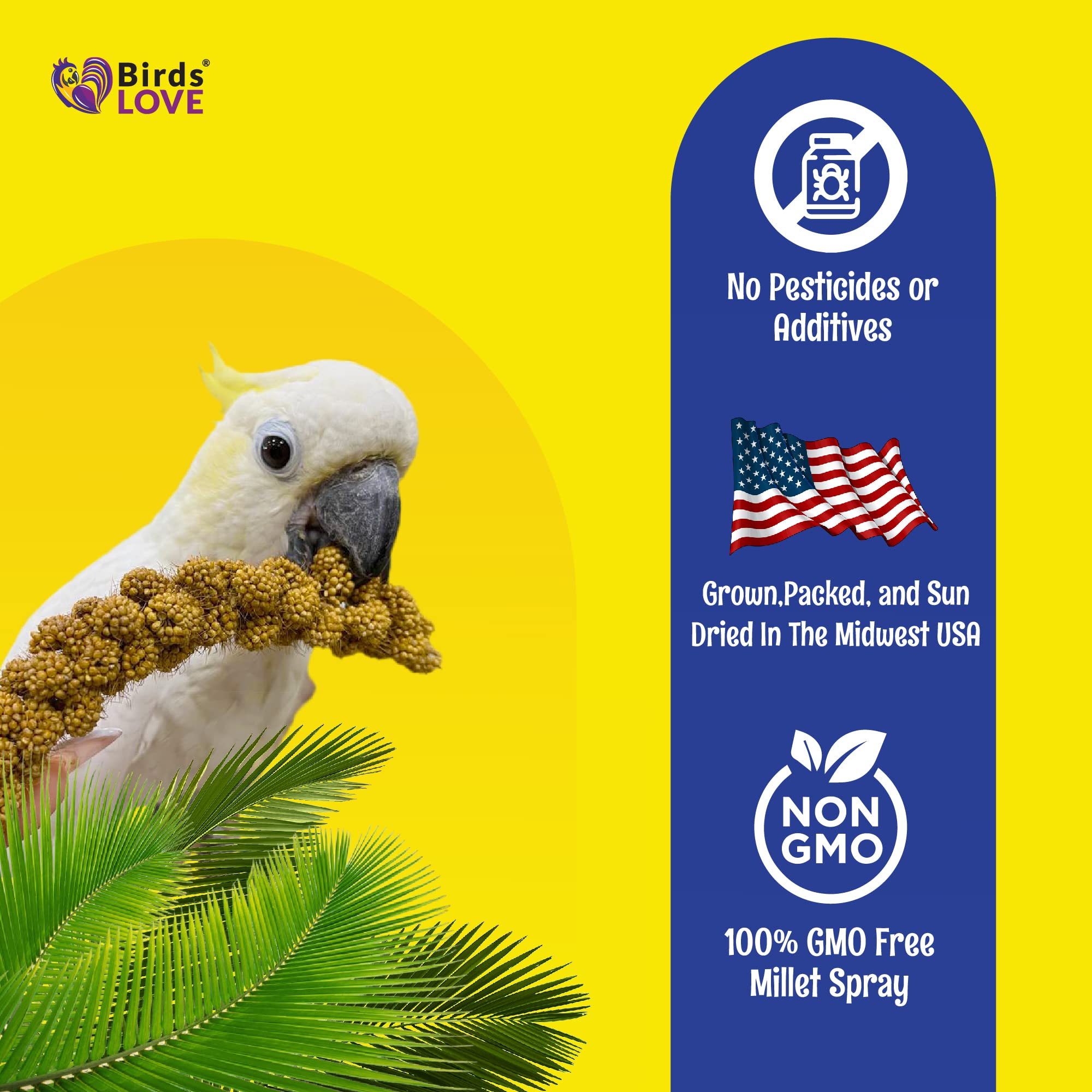 Birds LOVE spray millet sprouting-idea image invites healthy sprouting use