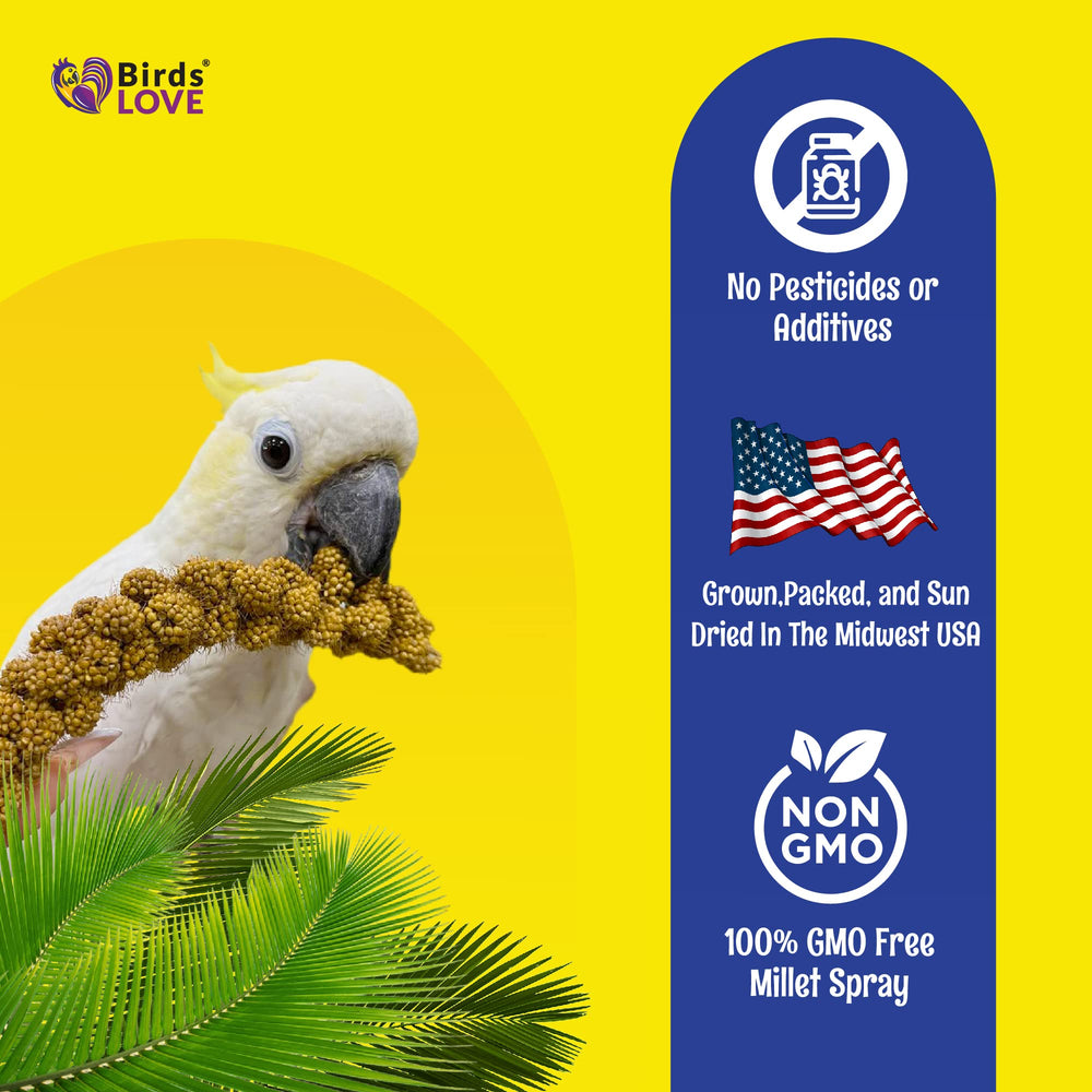 Birds LOVE spray millet sprouting-idea image invites healthy sprouting use