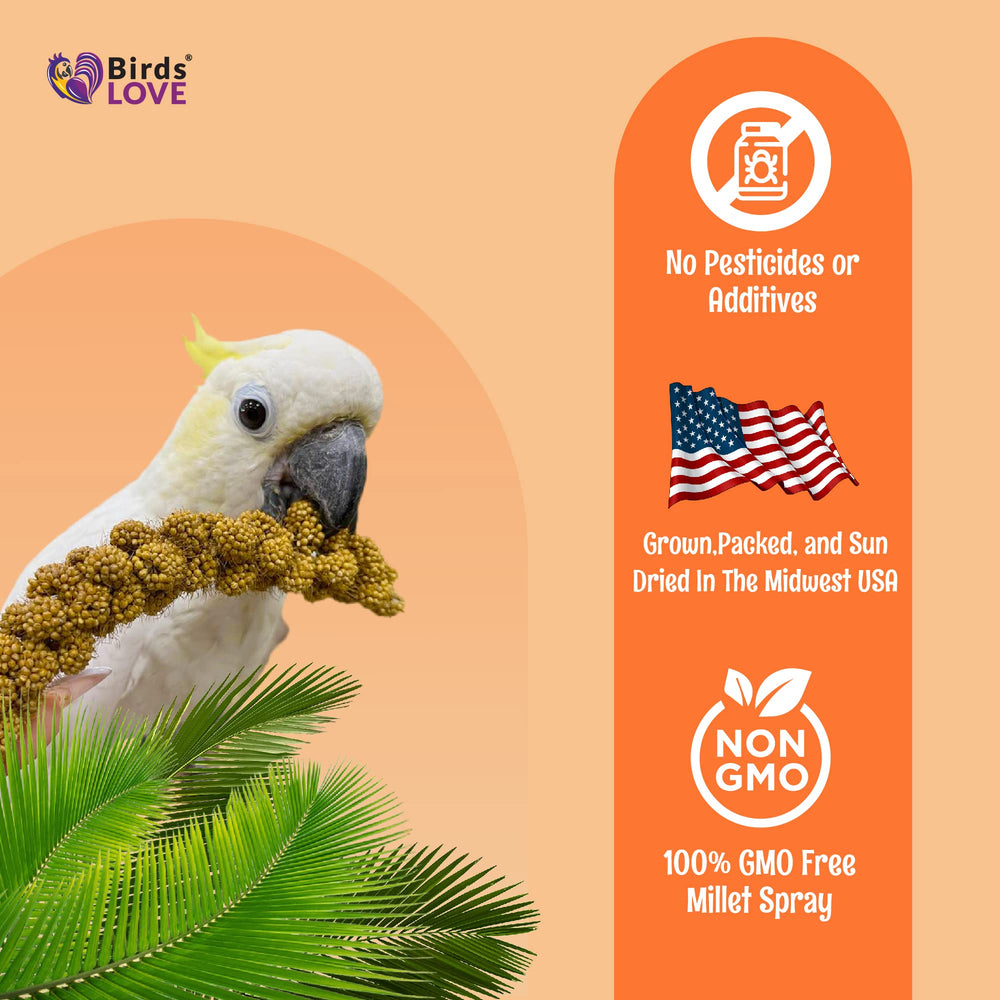 Birds LOVE spray millet stored cool to stay fresh