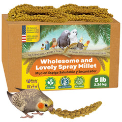 Birds LOVE spray millet USA-grown harvested, a wholesome foraging option for parrots.