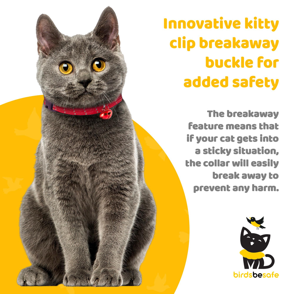 BirdsBeSafe collar adjusted 8-12 inches ensures a secure fit for most cats.