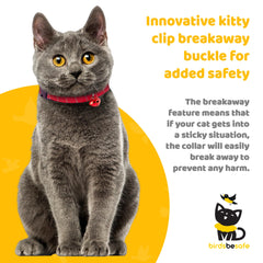 BirdsBeSafe collar adjusted 8-12 inches ensures a secure fit for most cats.