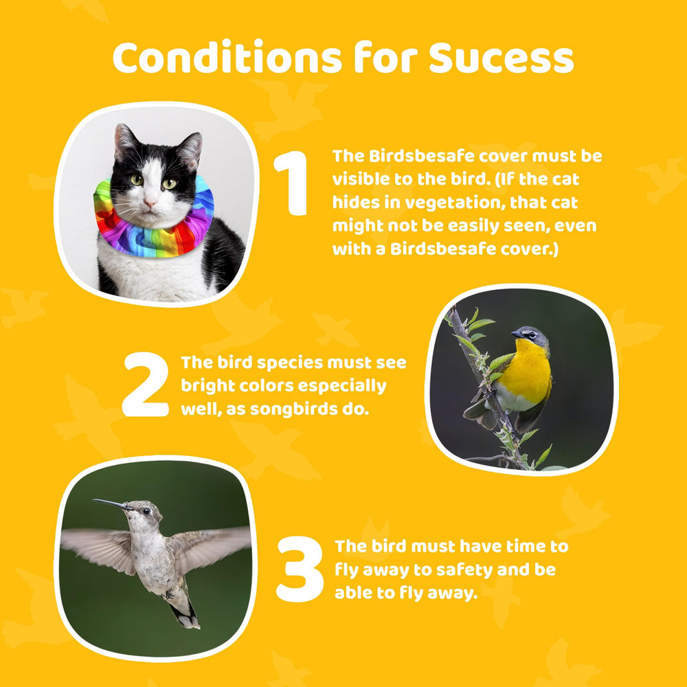 Birdsbesafe Rainbow Sally cat collar cover compatible with your breakaway collar.