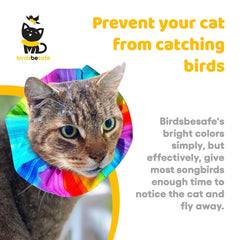 Birdsbesafe Rainbow Sally cat collar cover worn on cat with vivid pattern improves visibility to birds.