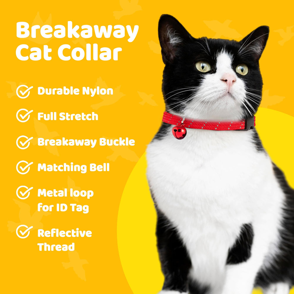 BirdsBeSafe reflective thread improves night visibility for safer evening outings.