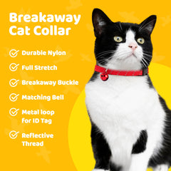 BirdsBeSafe reflective thread improves night visibility for safer evening outings.