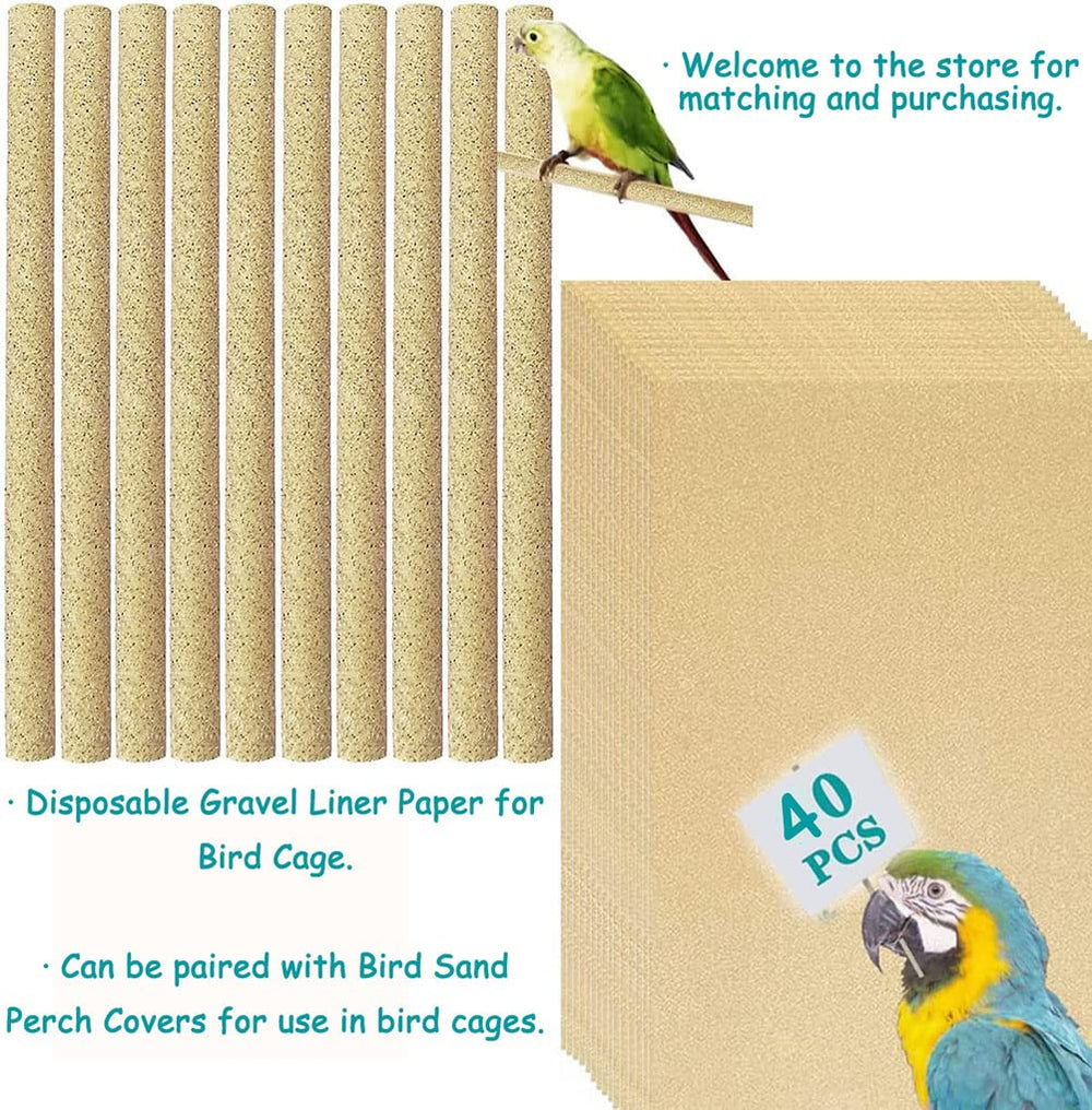 Birheatry gravel paper beak-claw trim image—maintains beak and claw length across life stages.