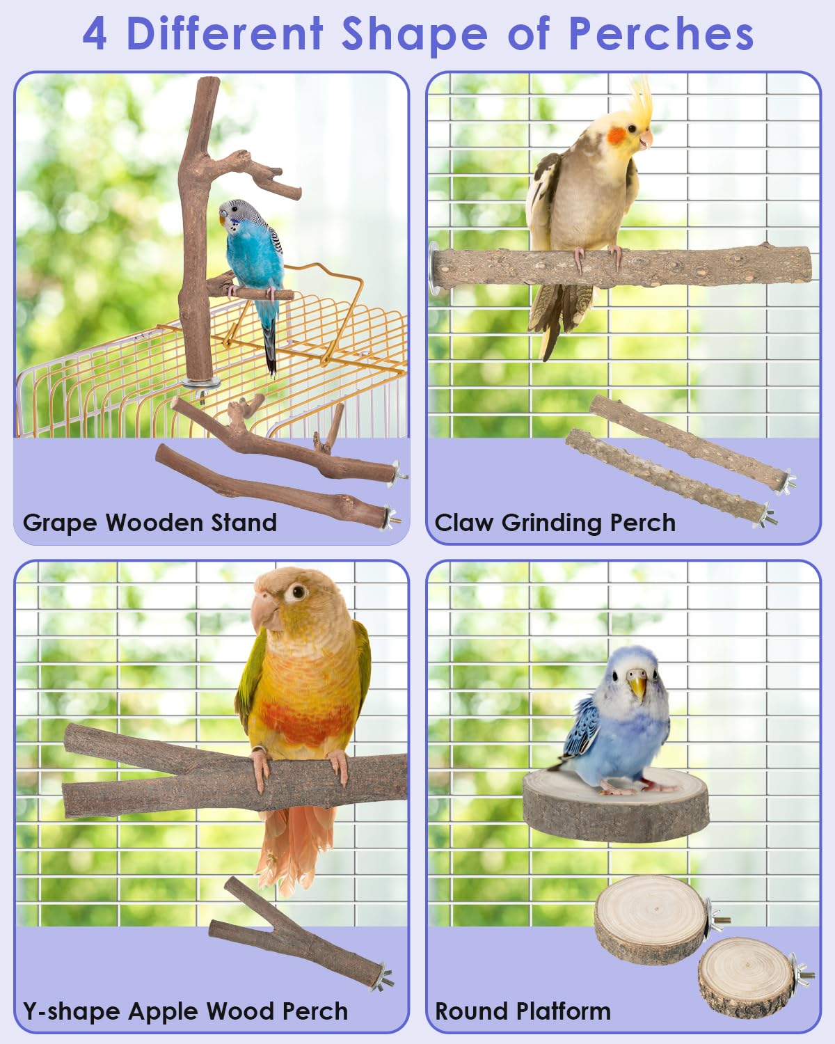 Bissap Y-shaped apple wood perch offers varied grip for movement play